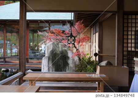 三景園の休憩室から眺めた石ともみじ 134849748