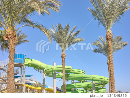 An outdoor water park with palm trees and blue sky, Egypt. An outdoor water park with palm trees and blue sky, Egypt. 134849856
