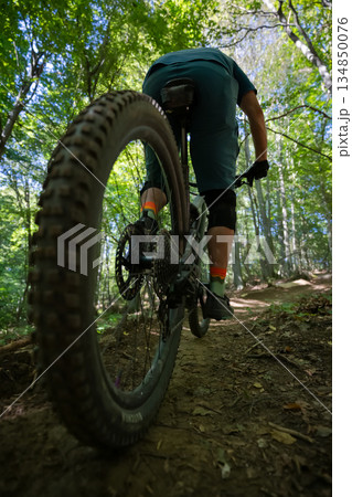 Biker on a mountain bike riding through a sunlit forest trail, captured from a low angle behind the rider Biker on a mountain bike riding through a sunlit forest trail, captured from a low angle behind the rider 134850076