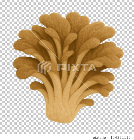 [Mushrooms] Felt-style Maitake mushroom illustration 134851113