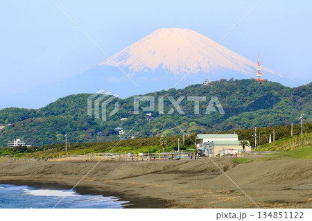 平塚漁港から眺める霊峰『富岳』…【富士山】 134851122