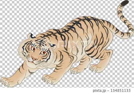Majestic and Fierce Tiger Illustration Showing Strength and Wild Spirit in Vibrant Colors 134851133