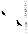 二羽の鳩のシルエット 134851342