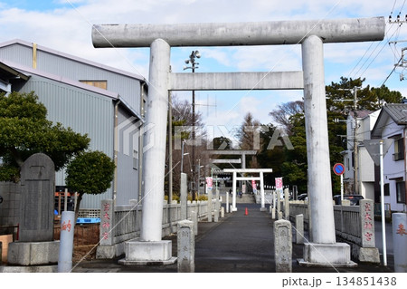 神奈川県藤沢市 皇大神宮(烏森神社)の鳥居と参道 神奈川県藤沢市 皇大神宮(烏森神社)の鳥居と参道 134851438
