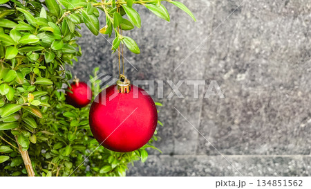 A red Christmas ball on green boxwood branches with a grey stone wall background and copy space. 134851562