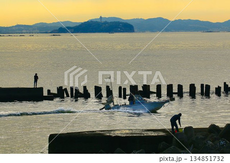 朝焼けの【江ノ島】を眺めつつ… 釣果を狙う『釣り人』 朝焼けの【江ノ島】を眺めつつ… 釣果を狙う『釣り人』 134851732
