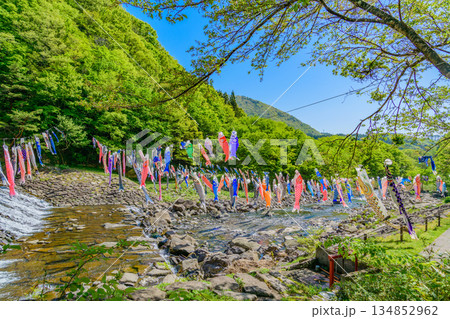 春 宮城　七ヶ宿鯉のぼり 134852962