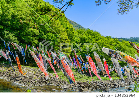 春 宮城 七ヶ宿鯉のぼり 春 宮城 七ヶ宿鯉のぼり 134852964