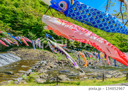 春 宮城　七ヶ宿鯉のぼり 134852967