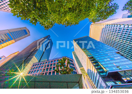 日本の東京都市景観珍風景。奇跡の反射光…年末の大手町。冬晴れ…明日へ、希望の光＝令和7年12月28日 134853036