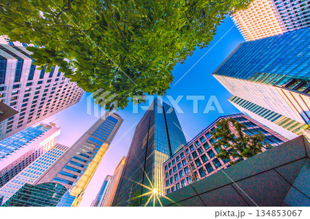 日本の東京都市景観奇跡の反射光…年末の大手町。冬晴れ…未来へ、希望の光＝令和7年12月28日 134853067