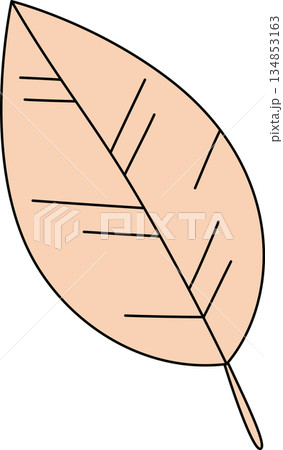 Cute Pastel Peach Colored Leaf Illustration for Nature and Serenity 134853163