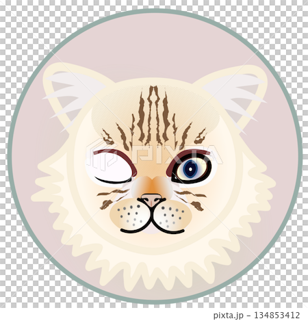 Illustration of a Persian cat's face with a circular background Illustration of a Persian cat's face with a circular background 134853412