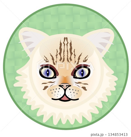 円形背景のついたペルシャ猫の顔のイラスト 134853413