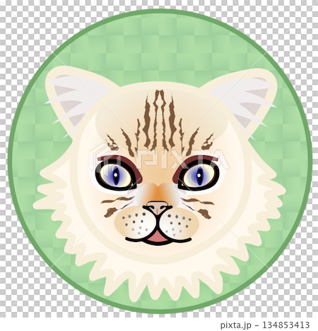 円形背景のついたペルシャ猫の顔のイラスト 134853413