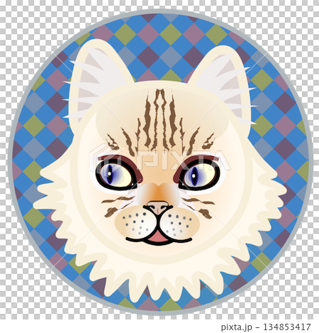 波斯貓臉部插圖，背景為圓形 134853417