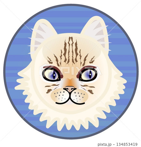 円形背景のついたペルシャ猫の顔のイラスト 134853419