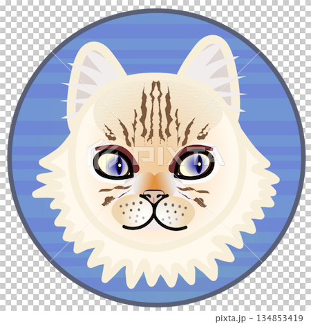 円形背景のついたペルシャ猫の顔のイラスト 134853419