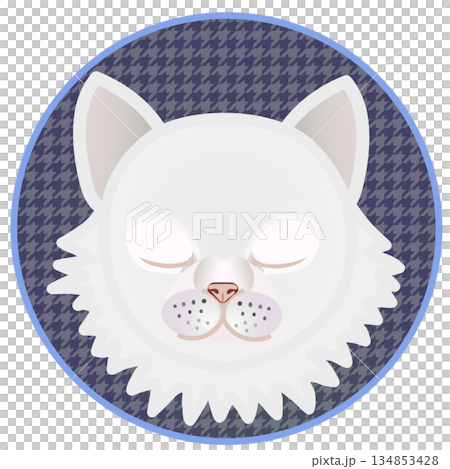 Illustration of a Persian cat's face with a circular background Illustration of a Persian cat's face with a circular background 134853428