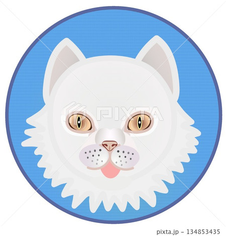 円形背景のついたペルシャ猫の顔のイラスト 円形背景のついたペルシャ猫の顔のイラスト 134853435