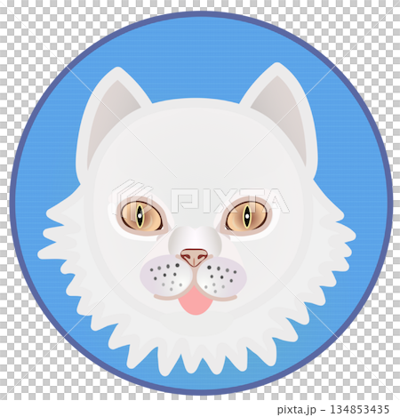 円形背景のついたペルシャ猫の顔のイラスト 円形背景のついたペルシャ猫の顔のイラスト 134853435