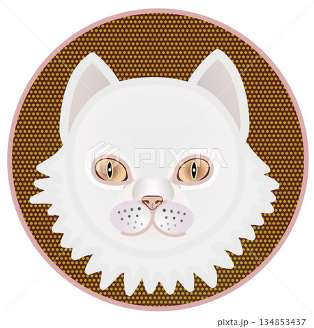円形背景のついたペルシャ猫の顔のイラスト 円形背景のついたペルシャ猫の顔のイラスト 134853437