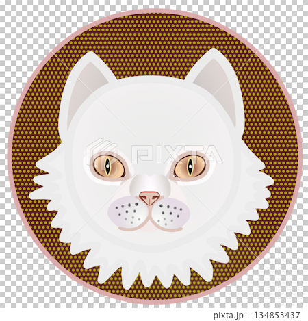 円形背景のついたペルシャ猫の顔のイラスト 円形背景のついたペルシャ猫の顔のイラスト 134853437