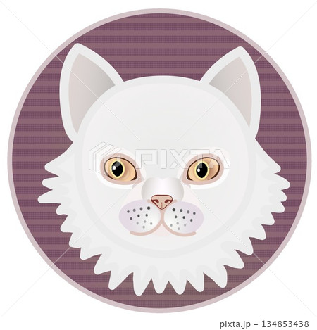 円形背景のついたペルシャ猫の顔のイラスト 134853438