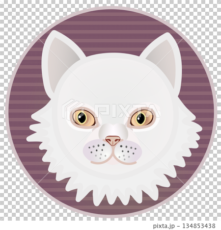 円形背景のついたペルシャ猫の顔のイラスト 134853438