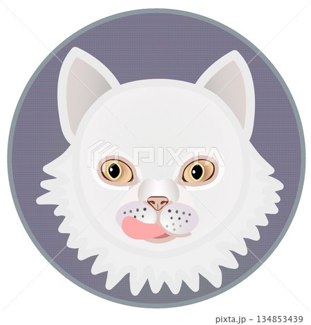 円形背景のついたペルシャ猫の顔のイラスト 134853439
