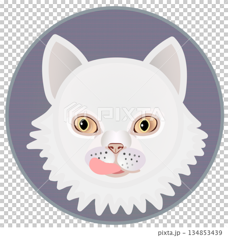 円形背景のついたペルシャ猫の顔のイラスト 134853439