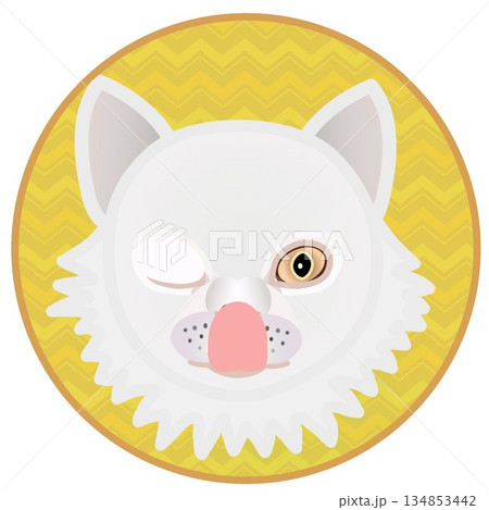 円形背景のついたペルシャ猫の顔のイラスト 円形背景のついたペルシャ猫の顔のイラスト 134853442