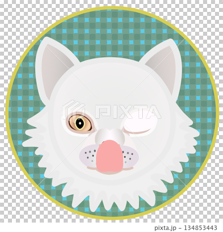 円形背景のついたペルシャ猫の顔のイラスト 134853443