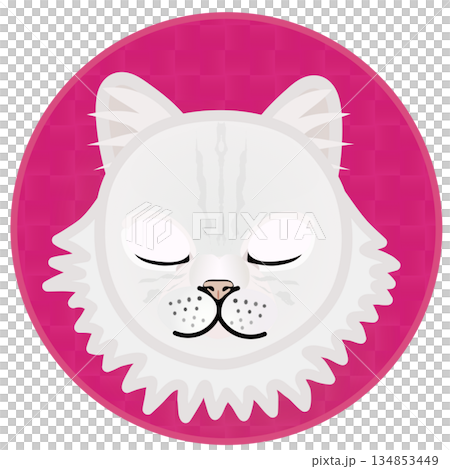 Illustration of a Persian cat's face with a circular background Illustration of a Persian cat's face with a circular background 134853449