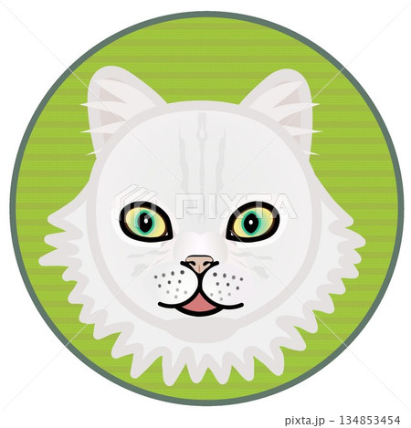 円形背景のついたペルシャ猫の顔のイラスト 円形背景のついたペルシャ猫の顔のイラスト 134853454