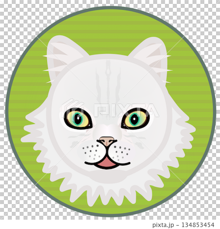 円形背景のついたペルシャ猫の顔のイラスト 円形背景のついたペルシャ猫の顔のイラスト 134853454