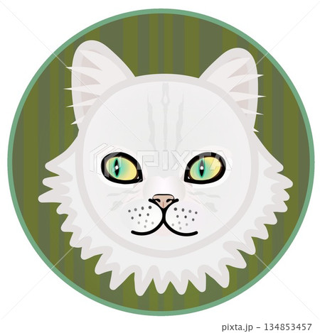 円形背景のついたペルシャ猫の顔のイラスト 134853457