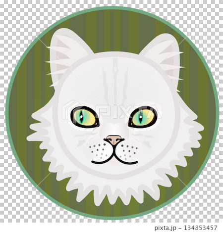 円形背景のついたペルシャ猫の顔のイラスト 134853457