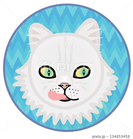 円形背景のついたペルシャ猫の顔のイラスト 円形背景のついたペルシャ猫の顔のイラスト 134853458