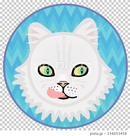 Illustration of a Persian cat's face with a circular background 134853458