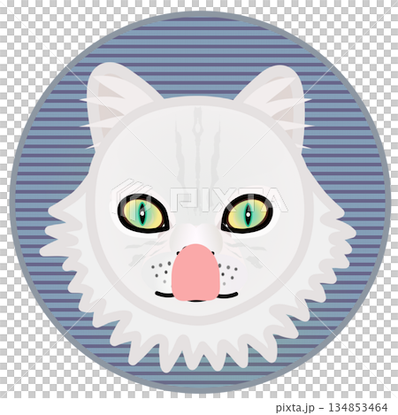 円形背景のついたペルシャ猫の顔のイラスト 134853464