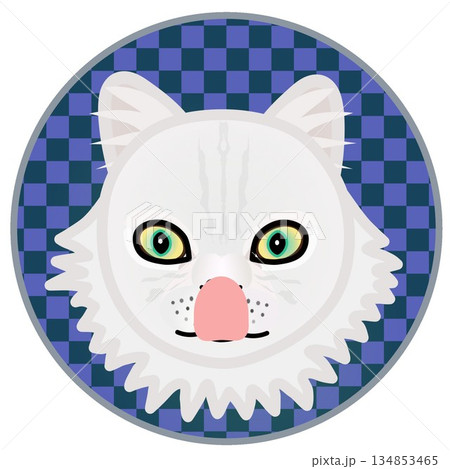 円形背景のついたペルシャ猫の顔のイラスト 134853465