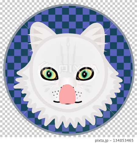 円形背景のついたペルシャ猫の顔のイラスト 134853465