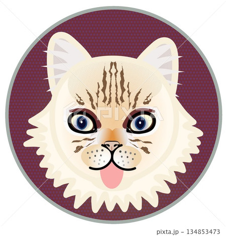 円形背景のついたペルシャ猫の顔のイラスト 134853473
