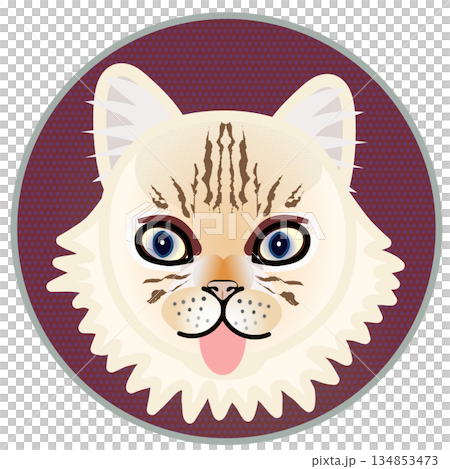 円形背景のついたペルシャ猫の顔のイラスト 134853473