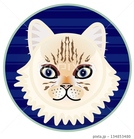 円形背景のついたペルシャ猫の顔のイラスト 134853480