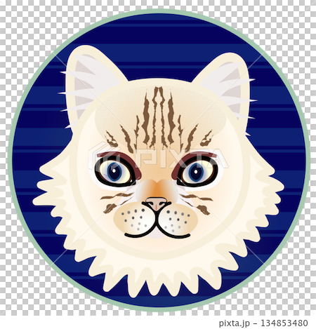 円形背景のついたペルシャ猫の顔のイラスト 134853480