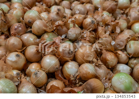 Pile of Onions With Papery Skins in Brown and White Tones for Stock Photography 134853543