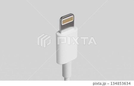 8 Pin Lightning Charging Cable Connector. 3D Rendering. 134853634