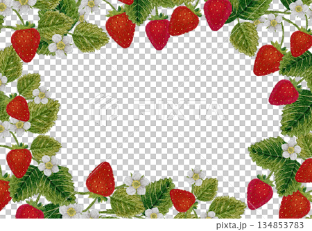 【草莓框】手工刺繡插畫素材 134853783